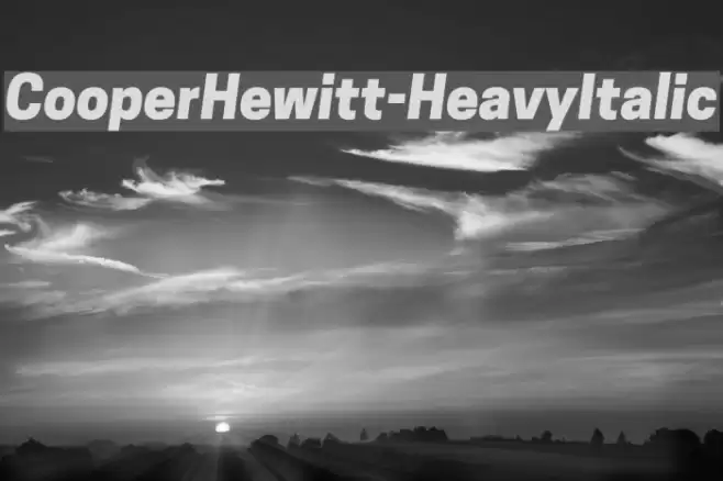 CooperHewitt-HeavyItalic Font examples