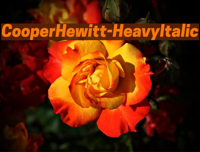 CooperHewitt-HeavyItalic Font examples