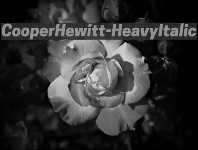 CooperHewitt-HeavyItalic Font examples