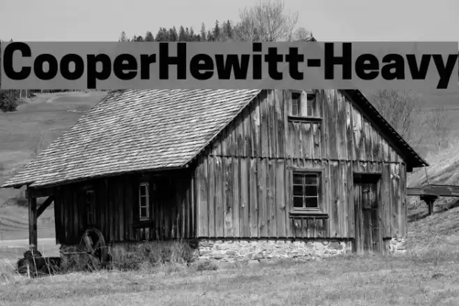 CooperHewitt-Heavy Font examples