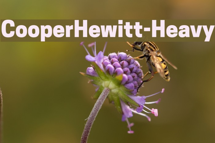 CooperHewitt-Heavy Font examples