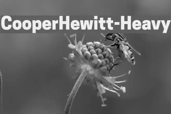 CooperHewitt-Heavy Font examples