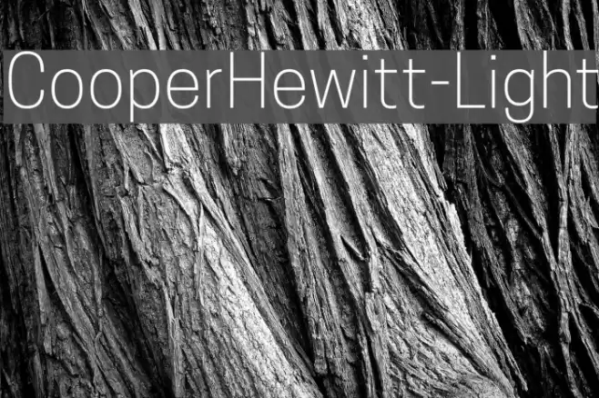 CooperHewitt-Light Font examples