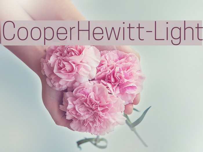 CooperHewitt-Light Font examples