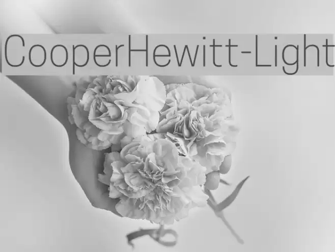 CooperHewitt-Light Font examples