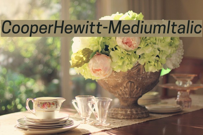 CooperHewitt-MediumItalic Font examples