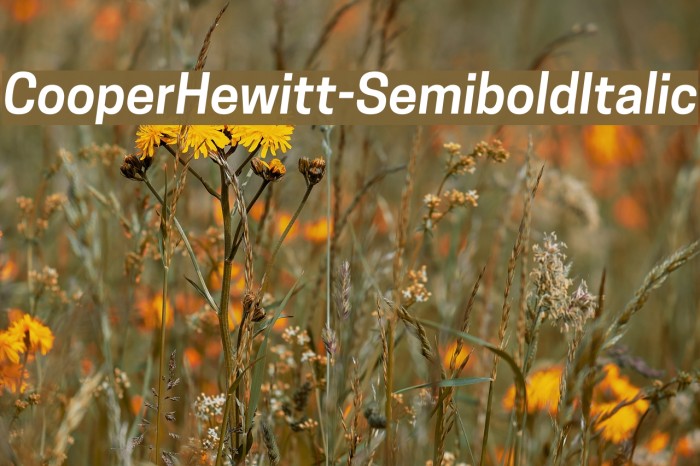 CooperHewitt-SemiboldItalic Font examples