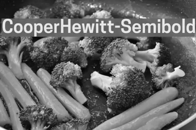 CooperHewitt-Semibold Font examples