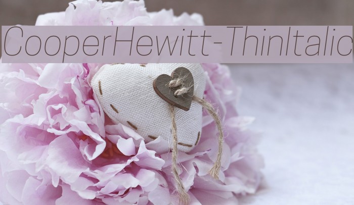 CooperHewitt-ThinItalic Font examples