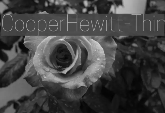 CooperHewitt-Thin Шрифта examples