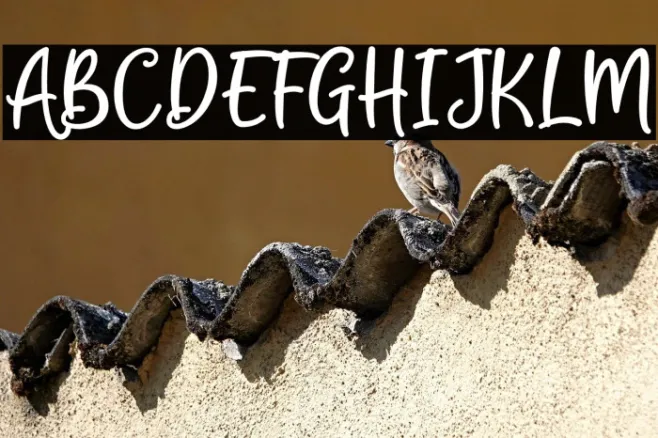 CooperRottasy Example 2