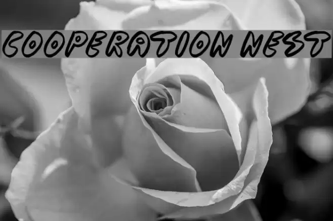 Cooperation Nest Font examples
