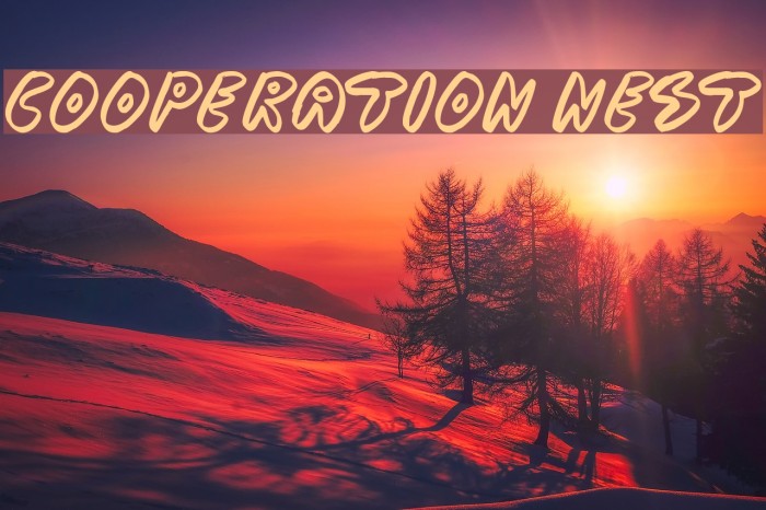 Cooperation Nest Font examples