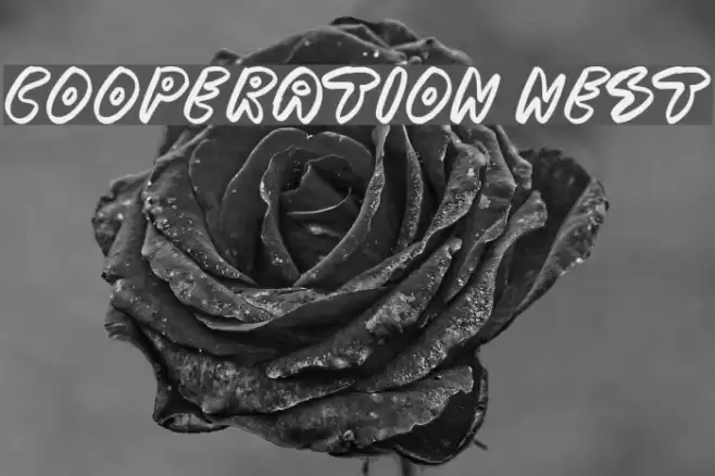 Cooperation Nest Font examples