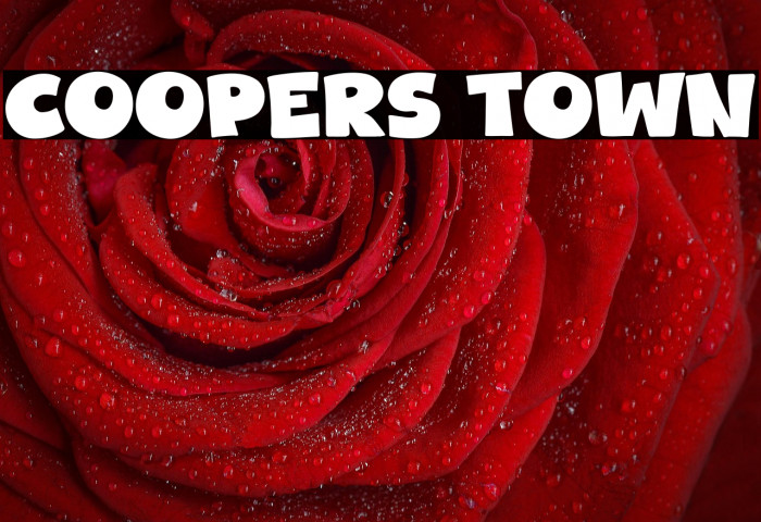 Coopers Town Example 3