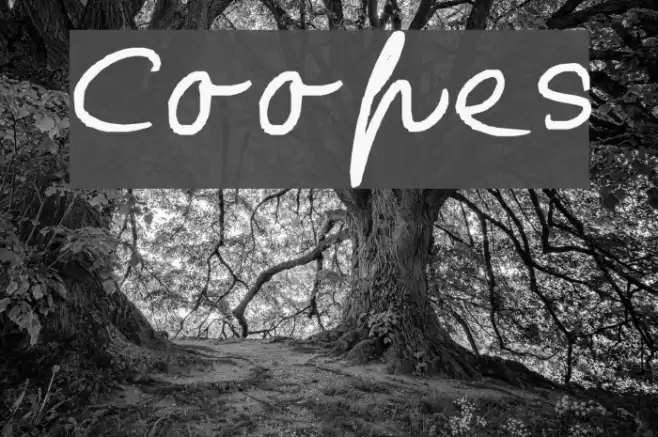 Coopes Font examples