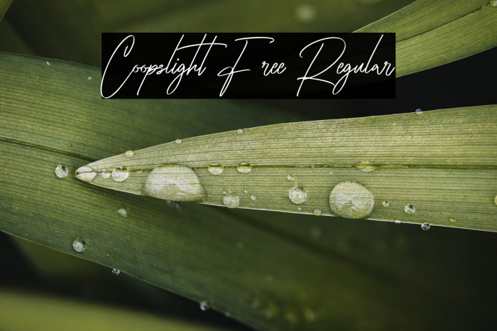 Coopslight Free Regular Example 2