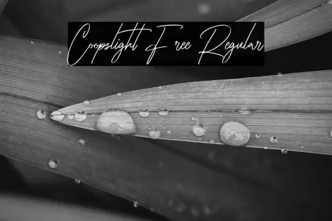 Coopslight Free Regular Caratteri examples