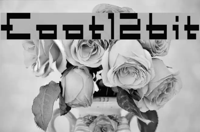 Coot12bit Caratteri examples