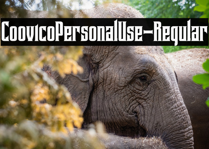 CoovicoPersonalUse-Regular Example 1