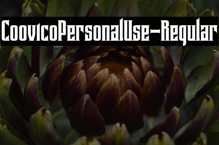 CoovicoPersonalUse-Regular Example 3