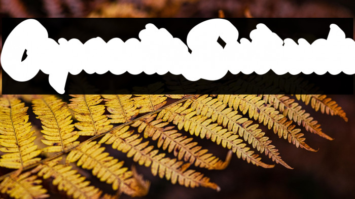 Copacetic-Extrude Example 1