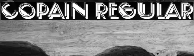 Copain Regular Font examples