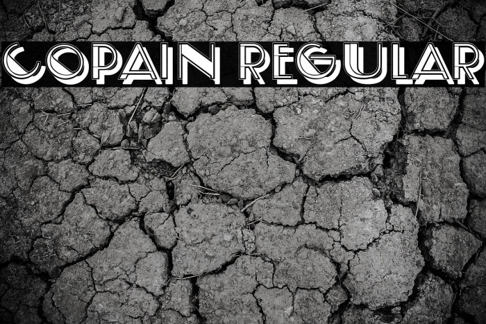 Copain Regular Example 3