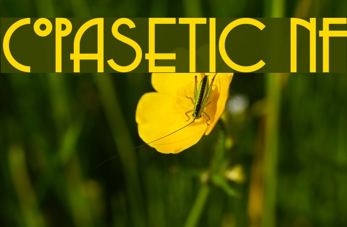 Copasetic NF Font examples