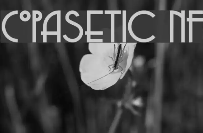 Copasetic NF Fonte examples