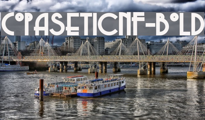 CopaseticNF-Bold Example 1