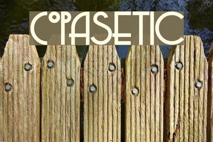 Copasetic Font examples