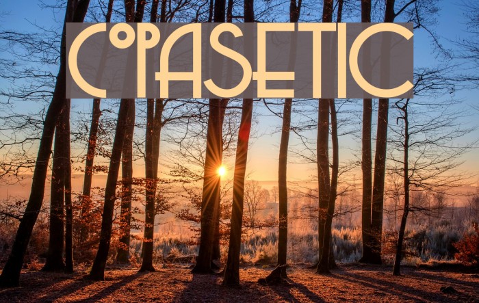 Copasetic Font examples