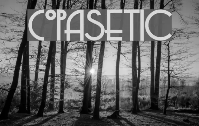 Copasetic Schriftart examples