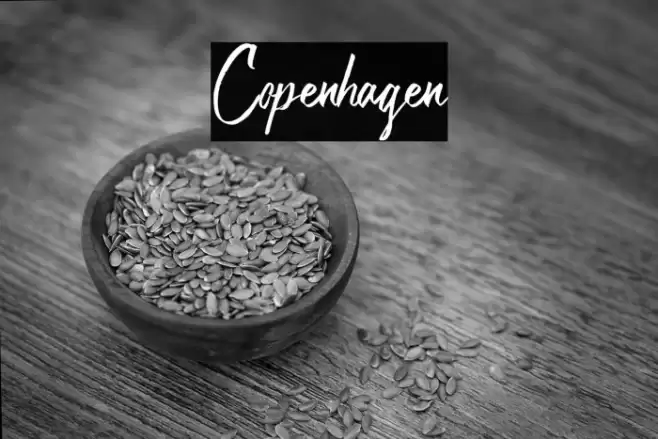 Copenhagen Font examples
