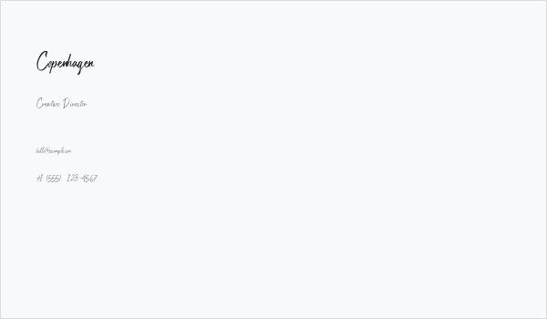 Copenhagen Business Card