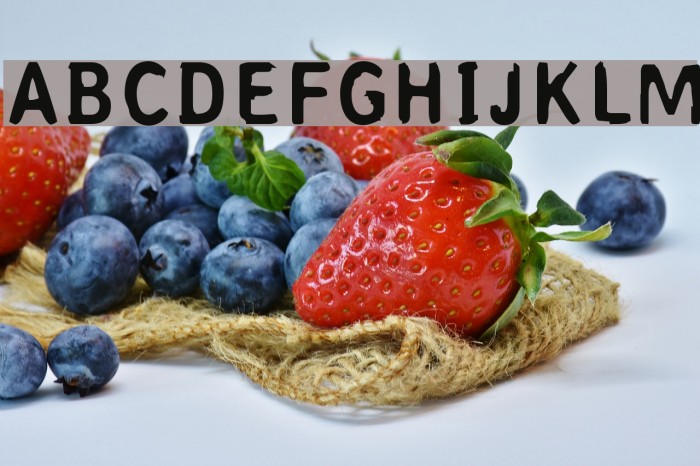 Coperniq Medium Font examples