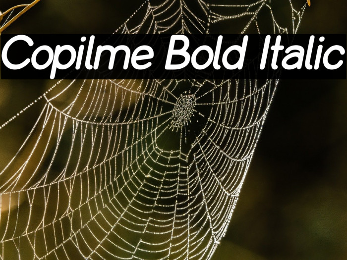 Copilme Bold Italic Example 1