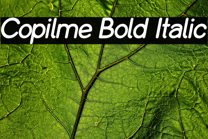 Copilme Bold Italic Example 2