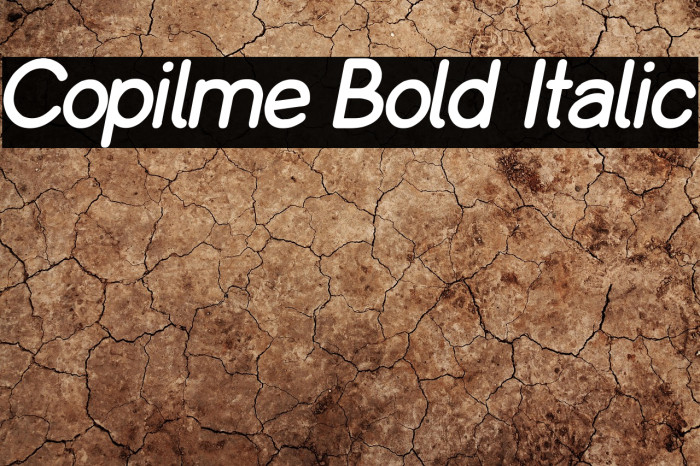 Copilme Bold Italic Example 3