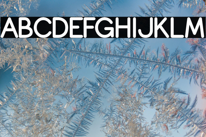 Copilme Bold Example 2