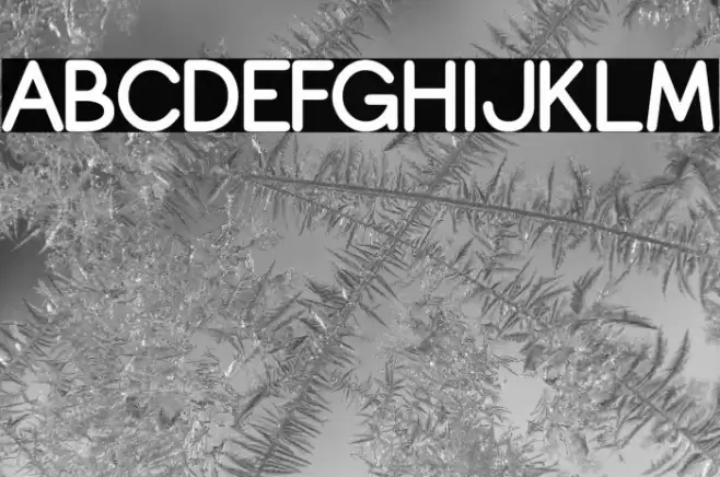 Copilme Bold Font examples