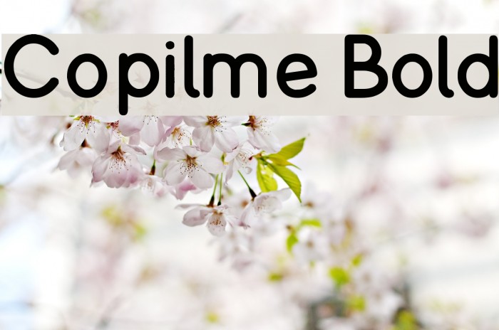 Copilme Bold Font examples
