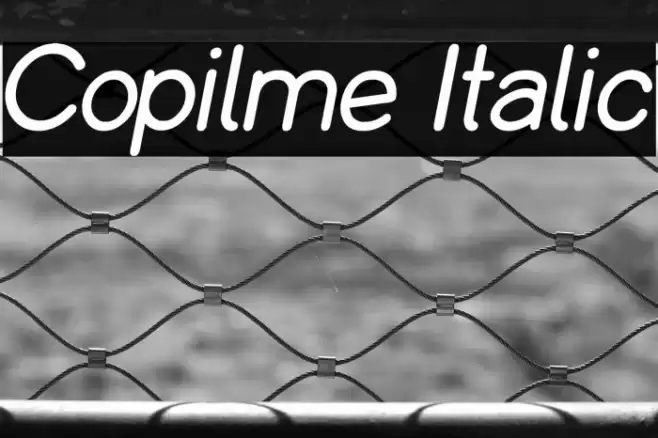 Copilme Italic Font examples