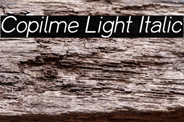 Copilme Light Italic Example 1