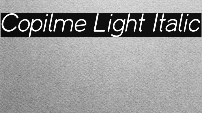 Copilme Light Italic Example 2