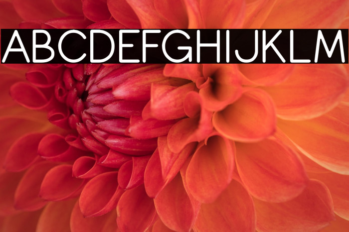 Copilme Light Example 1