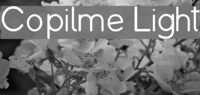 Copilme Light Font examples