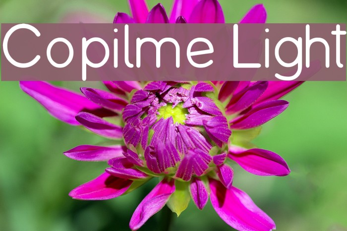 Copilme Light Font examples
