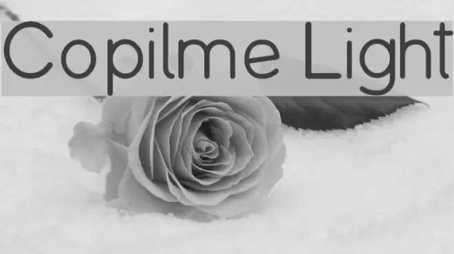 Copilme Light Font examples